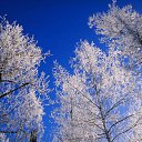  , , 54  -  21  2010   λ