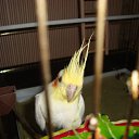 ���� ������, ������, 55 ��� - ��������� 18 ������� 2011 � ������ ���� ����������