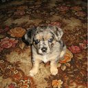 ���� ����, ���������, 40 ��� - ��������� 7 ���� 2011 � ������ ���� ������� � �������