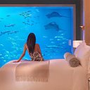 ���� ��������� +++Brilliant+++, ������, 38 ��� - ��������� 29 �������� 2010 � ������ ���� �������߻