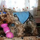 ���� ������, ������, 67 ��� - ��������� 18 ����� 2011 � ������ ���� ��