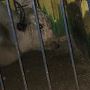 ���� �������, �������, 38 ��� - ��������� 28 ������ 2010 � ������ ������� �����!!!�