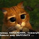  Pzel, , 53  -  14  2012