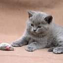 ���� �����, ���!, 59 ��� - ��������� 21 ������� 2009 � ������ �"������������ ��������"�