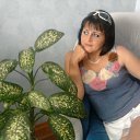 ���� �����, ���� - ��������� 25 �������� 2012 � ������ ���� ����������