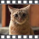 ���� ���������, �����-���������, 61 ��� - ��������� 6 ������ 2012