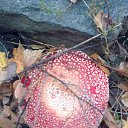 ���� ������, ������������, 57 ��� - ��������� 25 ��� 2013