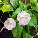 ������ �� ������� ����λ