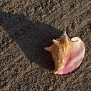 ���� ����, ���������, 37 ��� - ��������� 21 ������ 2009