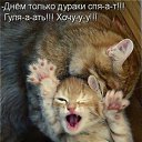 ���� ����������, �����, 24 ���� - ��������� 25 ������ 2011 � ������ ����������� �����