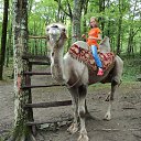 ���� ����������, ����������, 25 ��� - ��������� 2 ���� 2013 � ������ ���� ����������