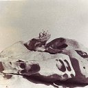 ���� ������, ����, 63 ���� - ��������� 13 ������� 2011 � ������ �������-���