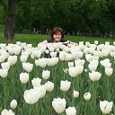 ���� �����, ��������, 59 ��� - ��������� 20 ��� 2013