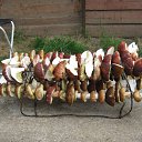 ���� ����, �����, 56 ��� - ��������� 12 ������� 2012 � ������ ���� ����������