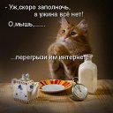  Svetik, - -  19  2011    !