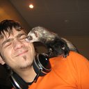  , -, 38  -  29  2011    