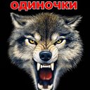 ���� �����, ��������, 43 ���� - ��������� 29 ���� 2012 � ������ �������