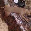 ������� �� ����� �� �����)))
 �� ������� ���� ����������