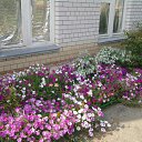 ���� Amaimon, ������� - ��������� 15 �������� 2011 � ������ �������