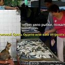 ���� ������ ��������, ������ - ��������� 9 ����� 2013 � ������ ���������