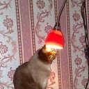 ���� Sergio, ������ - ��������� 2 �������� 2011