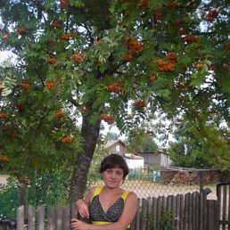 �������, ��������