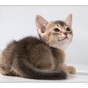 ���� ��� ����� :D, ����� - ��������� 2 ������� 2012 � ������ ���� ����������