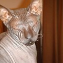 ���� Smile!!!, ���������, 46 ��� - ��������� 17 ������� 2009 � ������ �SkyLine�