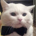 ���� ������, ���������, 52 ���� - ��������� 18 ���� 2011 � ������ �������