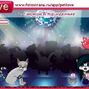  , -, 34  -  3  2011   PetLove
