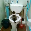 ���� ������, ������� - ��������� 24 ����� 2010 � ������ ���� ���