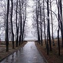 ���� �����, ��������� - ��������� 29 ������ 2013 � ������ ���������