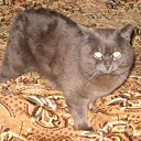 ���� Leonid, ��������, 45 ��� - ��������� 10 ������� 2012 � ������ ���� ����������