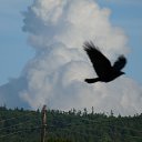 ���� ���������, ���������, 50 ��� - ��������� 13 ������� 2012 � ������ ���� ����������