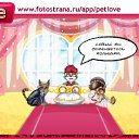  , , 36  -  22  2011   PetLove