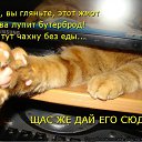 ���� ��������, �������� - ��������� 11 ����� 2012 � ������ �������� ��������
