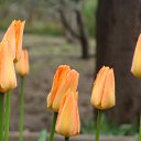 ���� ������, ������, 63 ���� - ��������� 5 ������� 2011 � ������ ������-���� �����....�