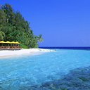 ���� �����, �������, 42 ���� - ��������� 15 �������� 2010 � ������ ��� ���