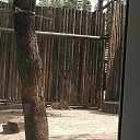 ���� ������, ������-��-����, 41 ��� - ��������� 8 ��� 2012 � ������ �� ��������