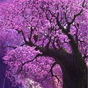 ���� ������� (������ 8-�� ������), �������, 28 ��� - ��������� 2 ����� 2012 � ������ ��������, �������� � ��.�