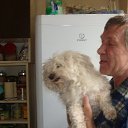 ���� �������, ������, 71 ��� - ��������� 10 ������ 2013 � ������ ���� ����������