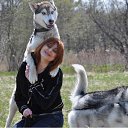  , -, 59  -  31  2011    