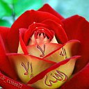 ���� Donish, ������, 47 ��� - ��������� 20 ����� 2012 � ������ ���� ����������