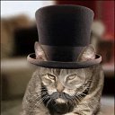 ���� &deg;&bull;*������&deg;&bull;*, ����������, 23 ���� - ��������� 3 �������� 2010 � ������ �������