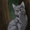 ���� ������, �����, 27 ��� - ��������� 14 ������ 2012 � ������ ���� ����������