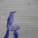 ���� ��������, ���������, 35 ��� - ��������� 15 ������� 2012 � ������ �������