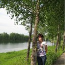 ���� �������, ������������, 49 ��� - ��������� 8 ��� 2012 � ������ ���� ����������