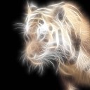 ���� �����, ����������� - ��������� 31 ���� 2013