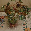 ���� �����������, �����-���������, 52 ���� - ��������� 6 ����� 2011 � ������ ���� ������ ��� ������� ����