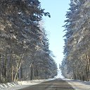���� ����, ������������, 49 ��� - ��������� 5 ������ 2012 � ������ �������